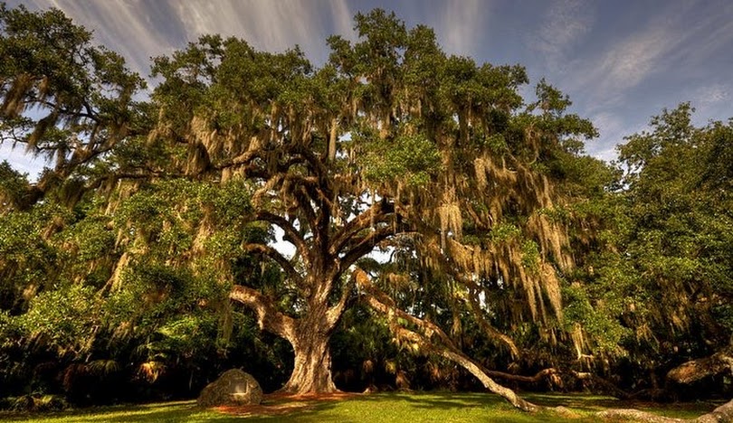 Bunnell, FL